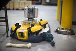 Vierbeiniger Roboter Boston "Fluffy" im Ford-Werk Dearborn (Michigan).